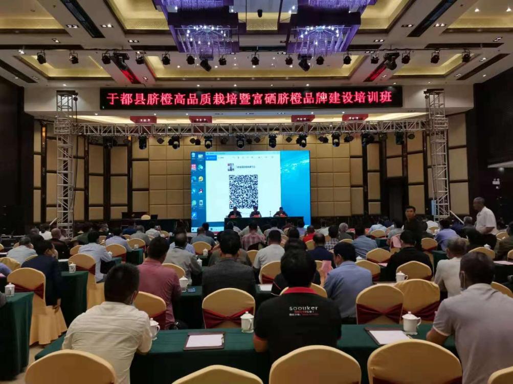 富硒农业盆栽蔬菜(富硒蔬菜水果)-硒宝网