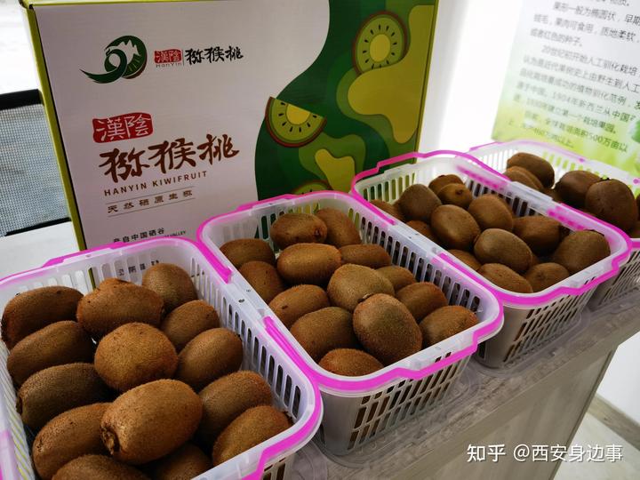 石城富硒蔬菜基地(万亩富硒蔬菜基地)-硒宝网