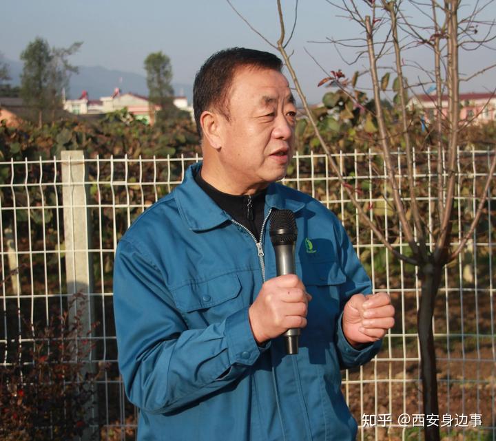 石城富硒蔬菜基地(万亩富硒蔬菜基地)-硒宝网