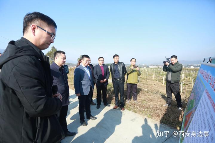 石城富硒蔬菜基地(万亩富硒蔬菜基地)-硒宝网