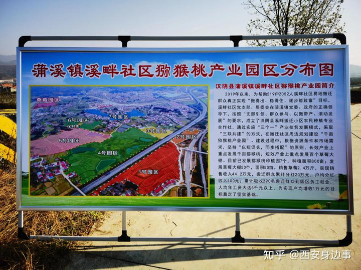 石城富硒蔬菜基地(万亩富硒蔬菜基地)-硒宝网