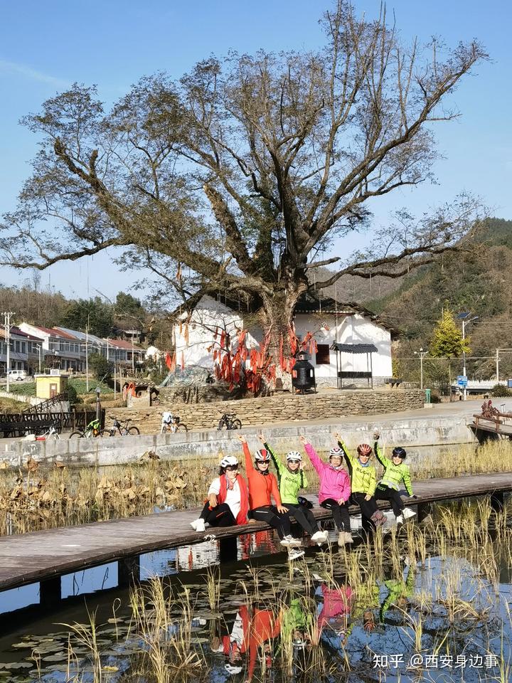 石城富硒蔬菜基地(万亩富硒蔬菜基地)-硒宝网