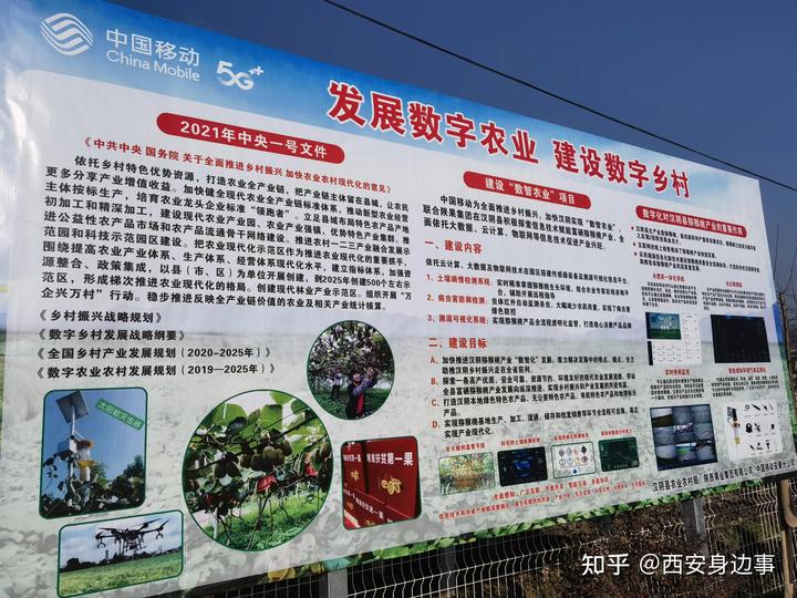 石城富硒蔬菜基地(万亩富硒蔬菜基地)-硒宝网