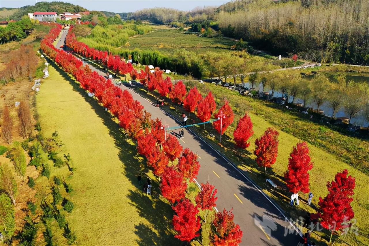 昆明富硒蔬菜种植（昆明蔬菜种植富硒面积多少）-硒宝网