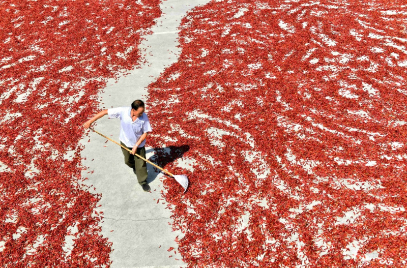 昆明富硒蔬菜种植（昆明蔬菜种植富硒面积多少）-硒宝网