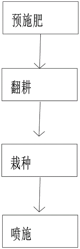 富硒水果蔬菜栽培（栽培蔬菜水果富硒的作用）-硒宝网