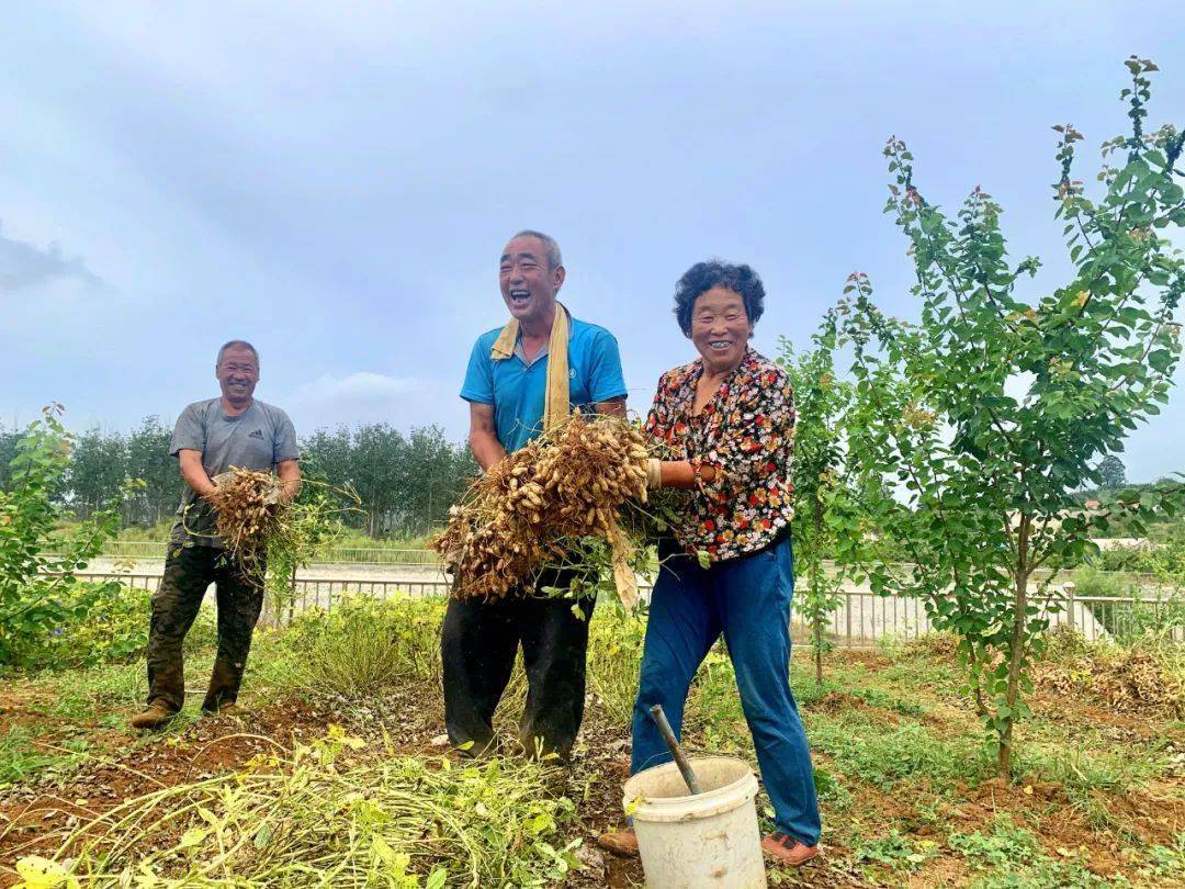 富硒蔬菜种植收益（怎么种植富硒蔬菜）-硒宝网