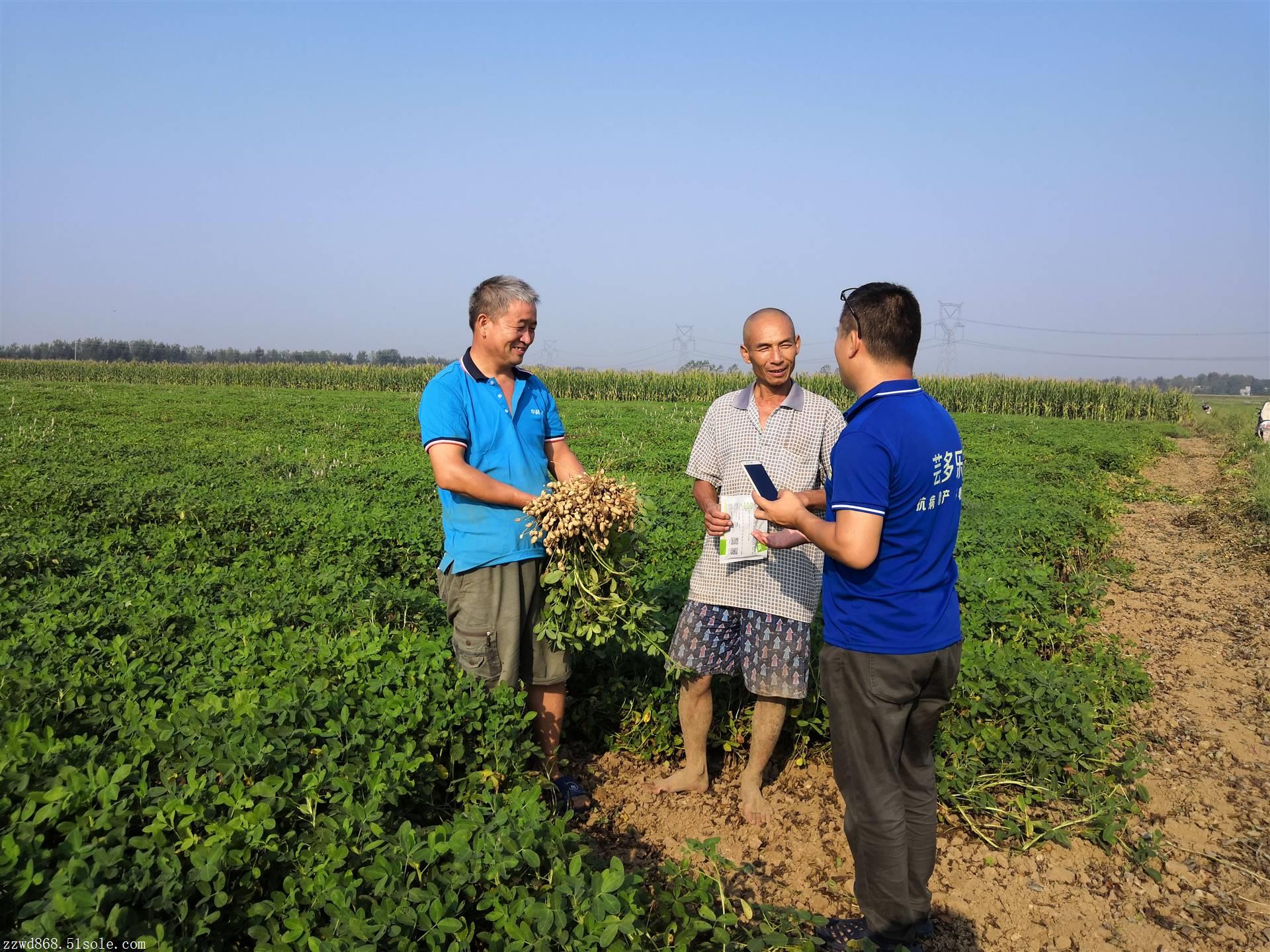 富硒蔬菜种植收益（怎么种植富硒蔬菜）-硒宝网