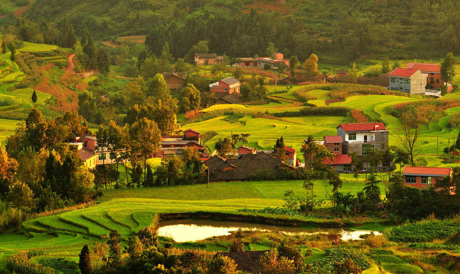 淄博富硒蔬菜价格（淄博最大蔬菜批发市?。?硒宝网
