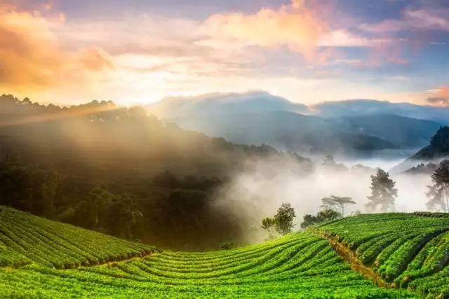 杭州富硒蔬菜基地(富阳蔬菜基地)-硒宝网