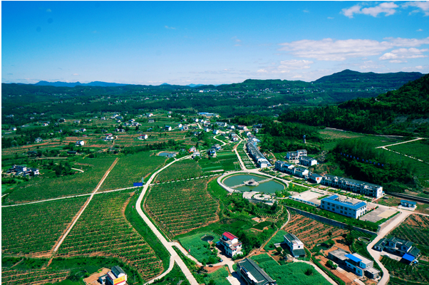 龙南富硒蔬菜基地（万亩富硒蔬菜基地）-硒宝网