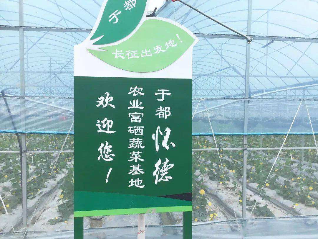 龙南富硒蔬菜基地（万亩富硒蔬菜基地）-硒宝网