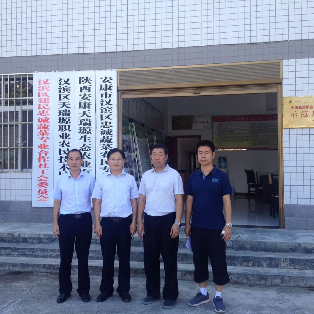 富硒蔬菜种植示范(蔬菜示范种植富硒土壤)-硒宝网