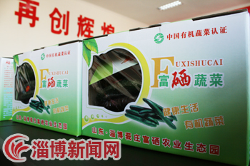 富硒绿色蔬菜产业(中国富硒蔬菜杂交)-硒宝网