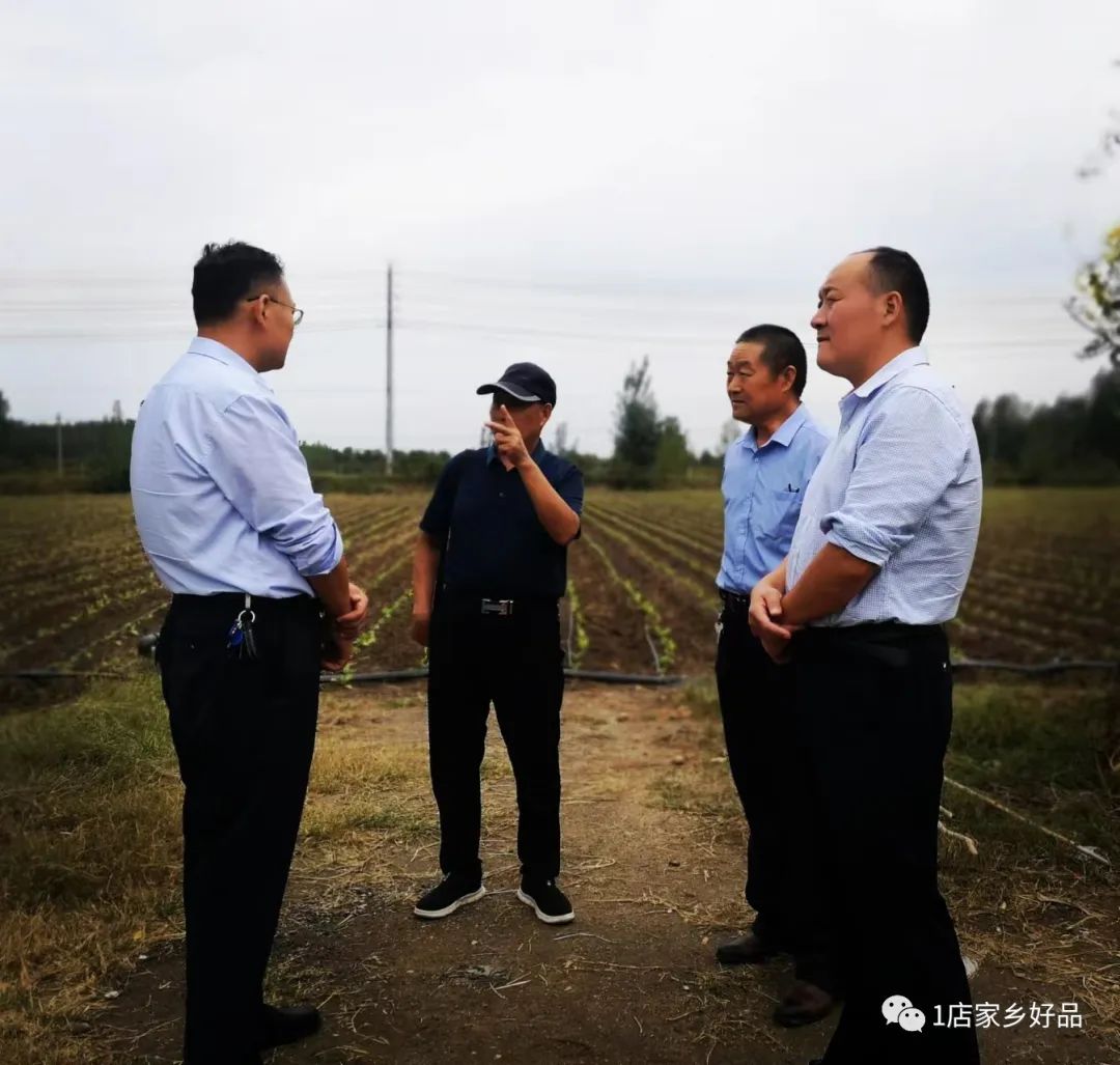 富硒蔬菜种植示范（富硒蔬菜的标准）-硒宝网