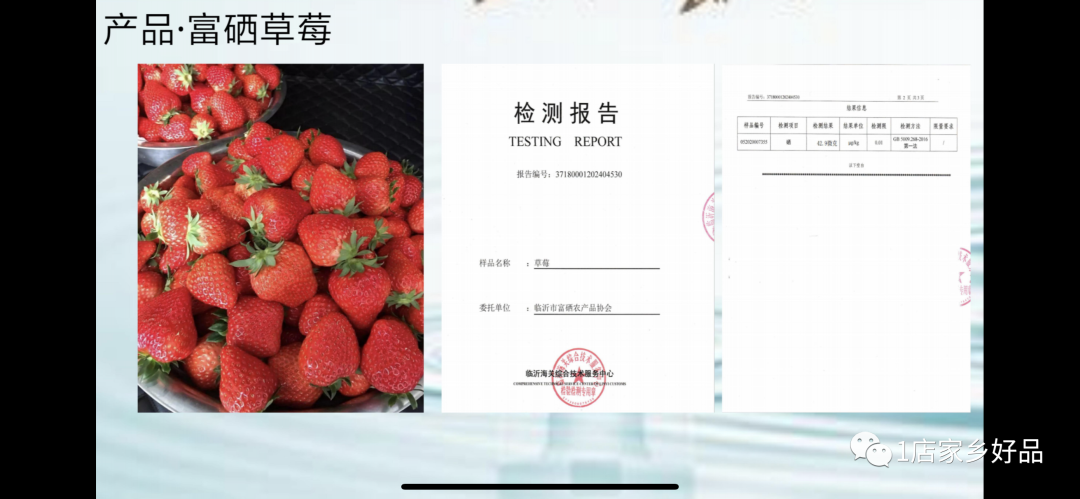 富硒蔬菜种植示范（富硒蔬菜的标准）-硒宝网