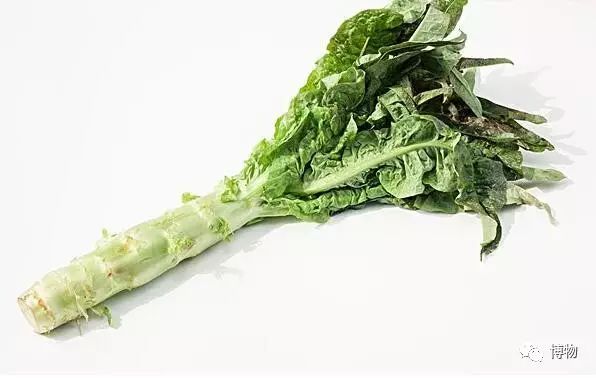 富硒蔬菜有莴笋没（莴笋含维c吗）-硒宝网
