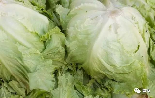 富硒蔬菜有莴笋没（莴笋含维c吗）-硒宝网