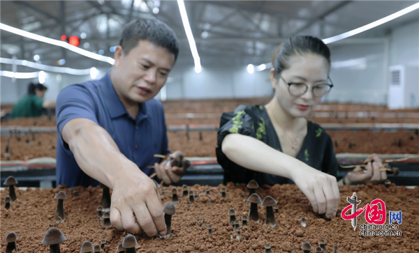 龙南富硒蔬菜基地(富硒种植基地)-硒宝网
