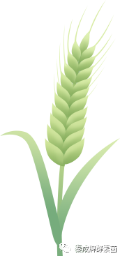 家庭种植富硒蔬菜(蔬菜种植家庭富硒方法)-硒宝网