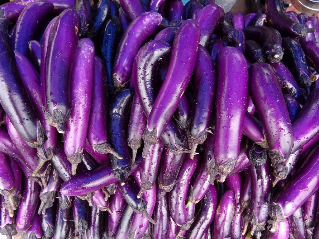 寿光富硒蔬菜价格(蔬菜寿光价格富硒多少钱)-硒宝网