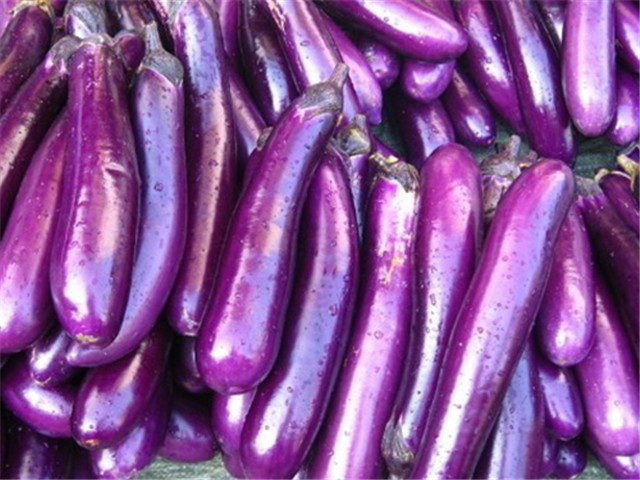 寿光富硒蔬菜价格(蔬菜寿光价格富硒多少钱)-硒宝网