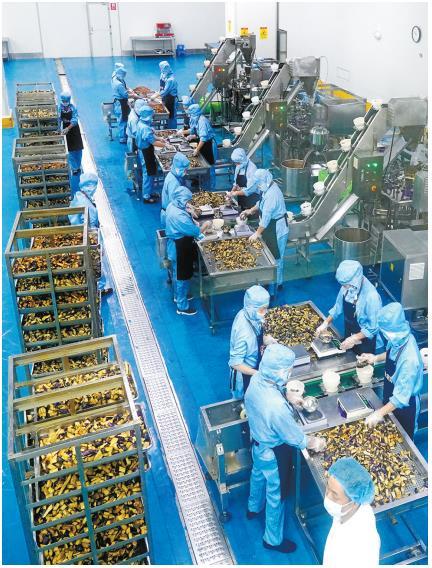 富硒蔬菜种植季节(蔬菜季节种植富硒可以吗)-硒宝网