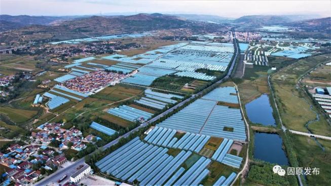 富硒蔬菜种植季节(富硒地种的菜真那么值钱吗)-硒宝网