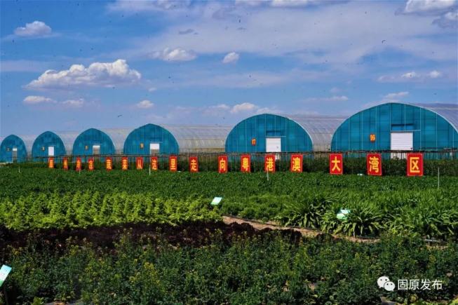 富硒蔬菜种植季节(富硒地种的菜真那么值钱吗)-硒宝网