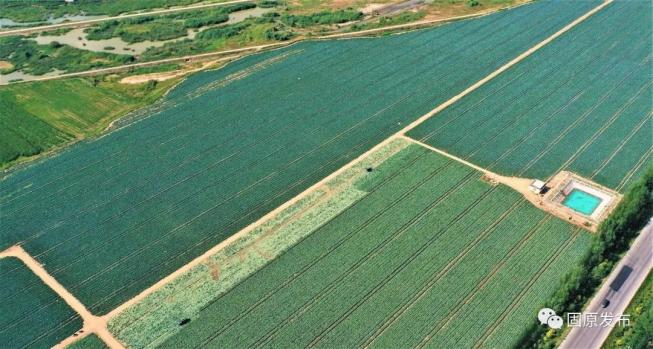 富硒蔬菜种植季节(富硒地种的菜真那么值钱吗)-硒宝网