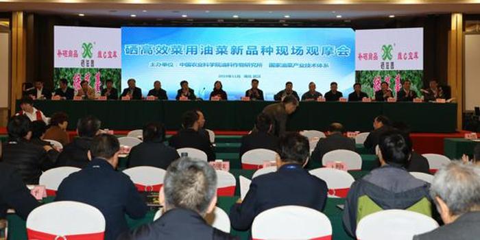 富硒地种植的蔬菜（富硒地适合种什么）-硒宝网