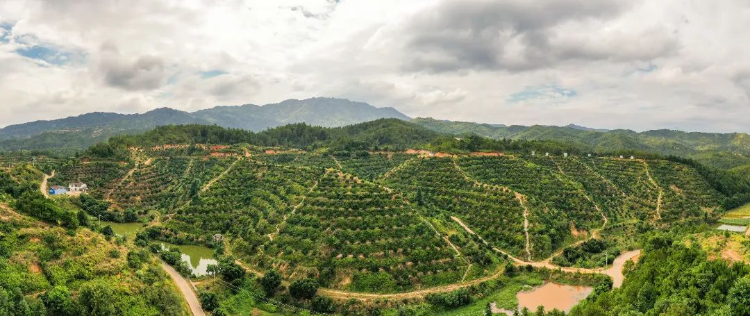 于都富硒蔬菜研发(江西富硒蔬菜)-硒宝网