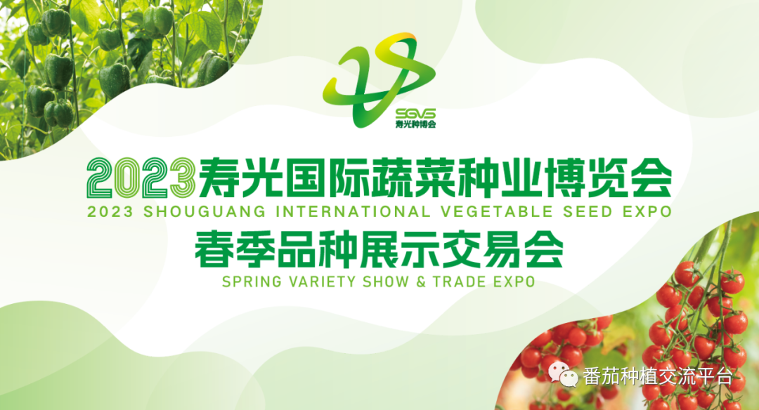 富硒蔬菜种植公司(富硒蔬菜种植技术)-硒宝网