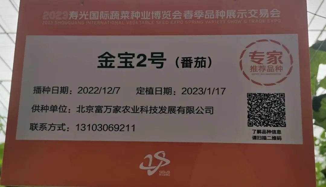 富硒蔬菜种植公司(富硒蔬菜种植技术)-硒宝网