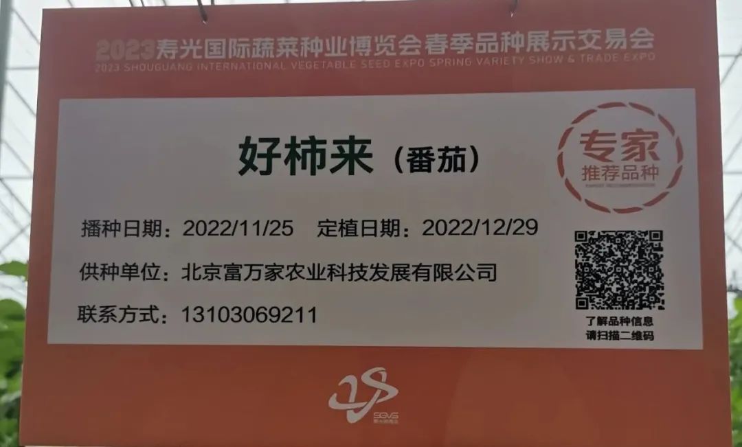 富硒蔬菜种植公司(富硒蔬菜种植技术)-硒宝网