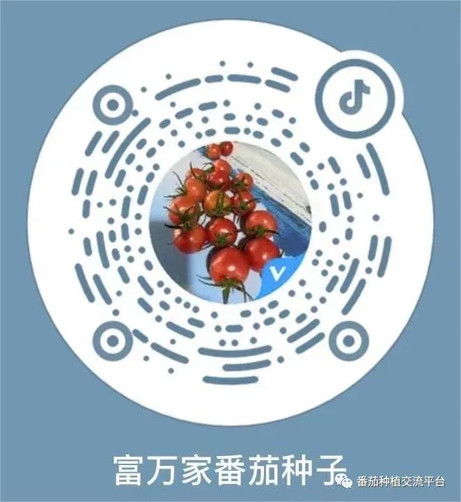 富硒蔬菜种植公司(富硒蔬菜种植技术)-硒宝网