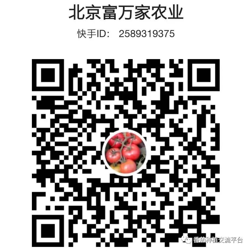 富硒蔬菜种植公司(富硒蔬菜种植技术)-硒宝网