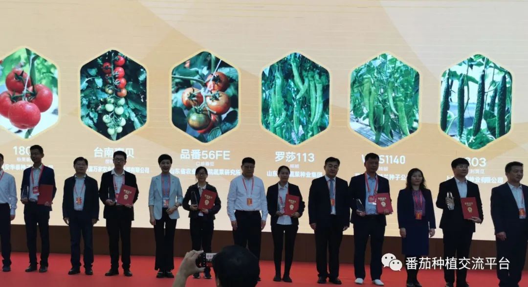 富硒蔬菜种植公司(富硒蔬菜种植技术)-硒宝网