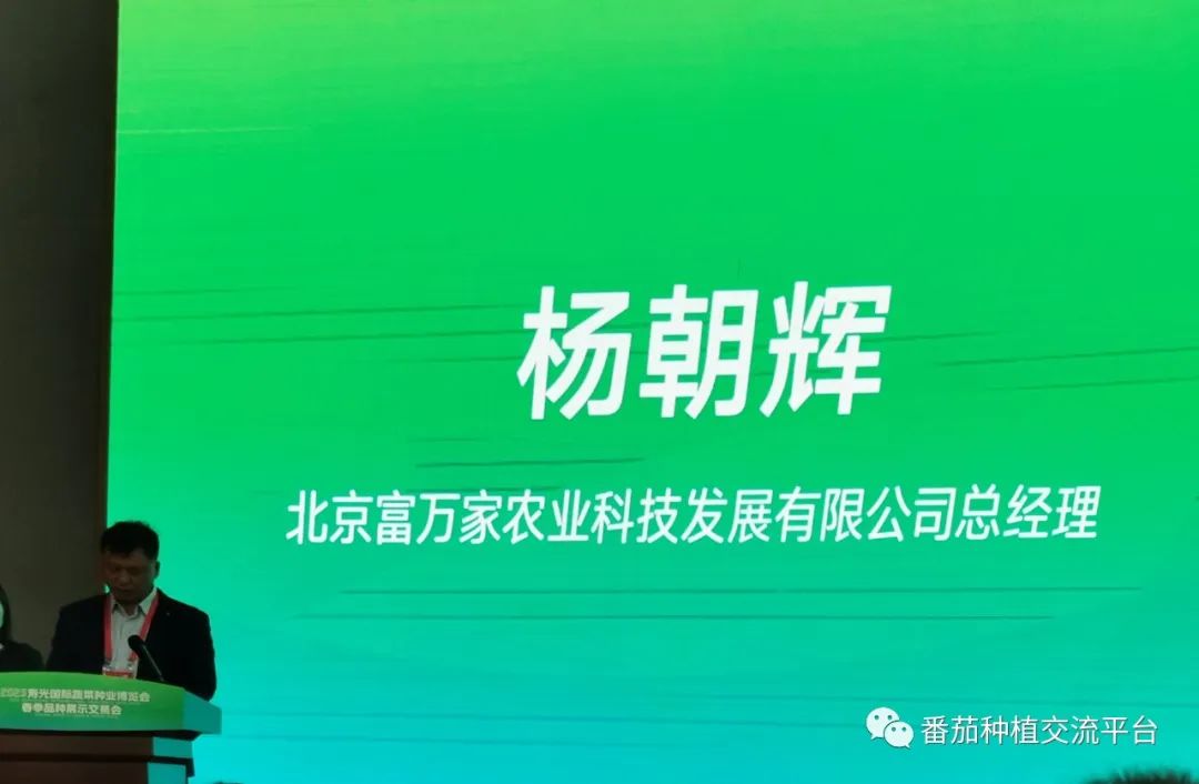 富硒蔬菜种植公司(富硒蔬菜种植技术)-硒宝网