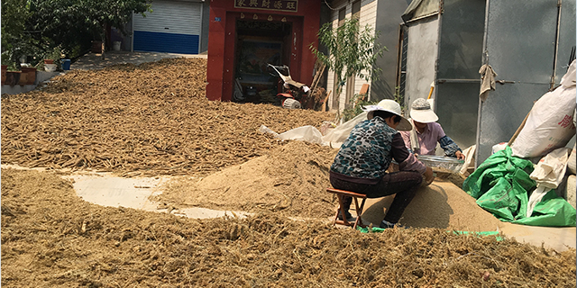 富硒蔬菜有啥好处（蔬菜好处富硒有什么作用）-硒宝网