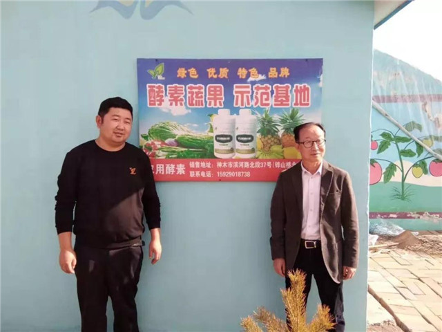 富硒蔬菜生长条件(富硒蔬菜的种植方法)-硒宝网