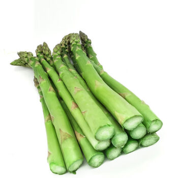 富硒蔬菜是指什么(富硒蔬菜含硒量一览表)-硒宝网