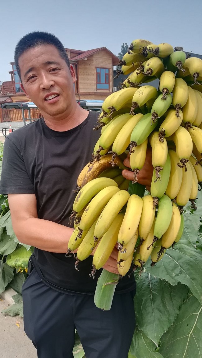 金乡富硒蔬菜摘园（富硒蔬菜产业园）-硒宝网