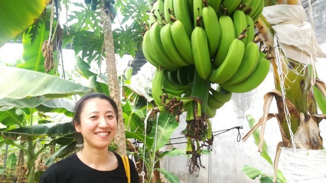 金乡富硒蔬菜摘园（富硒蔬菜产业园）-硒宝网