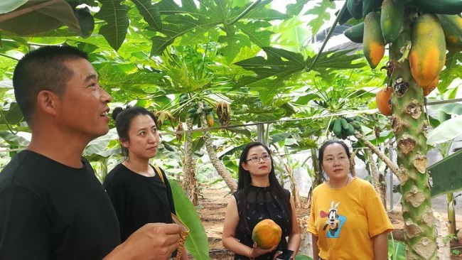 金乡富硒蔬菜摘园（富硒蔬菜产业园）-硒宝网