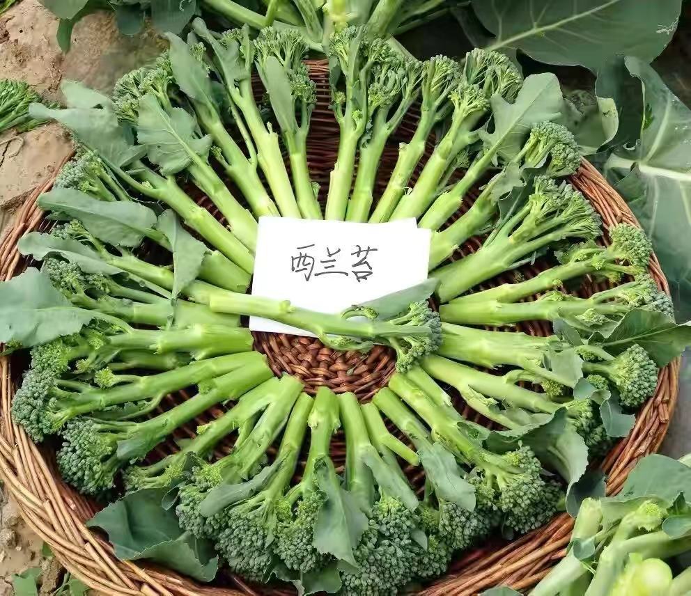 恩施富硒高山蔬菜（恩施高山硒茶是什么茶）-硒宝网