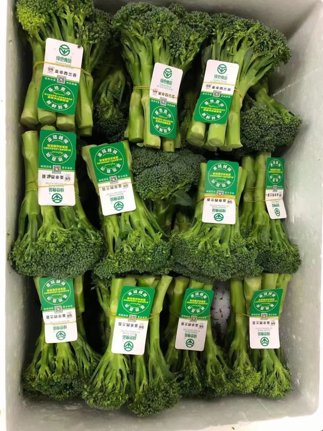 恩施富硒高山蔬菜（恩施高山硒茶是什么茶）-硒宝网