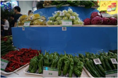 大理富硒蔬菜种植(大理蔬菜种植富硒土壤)-硒宝网