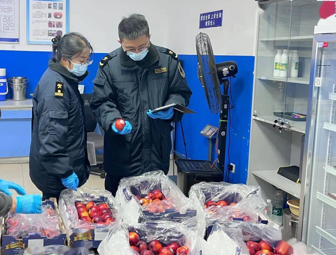 大理富硒蔬菜种植(大理蔬菜种植富硒土壤)-硒宝网