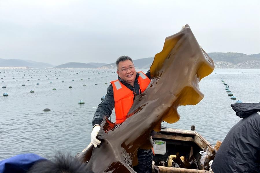 福建本帮富硒蔬菜(万亩富硒蔬菜基地)-硒宝网